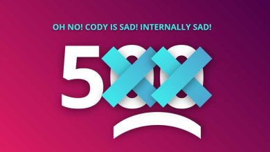 خطای ۵۰۰ چیست