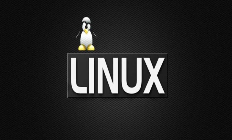 Tar linux как добавить файлы с именами в русской кодировке